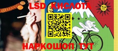 гашик Можга