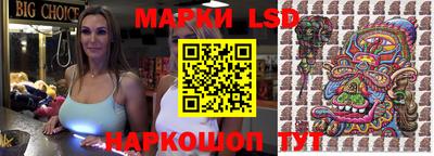 гашик Можга
