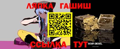 гашик Можга