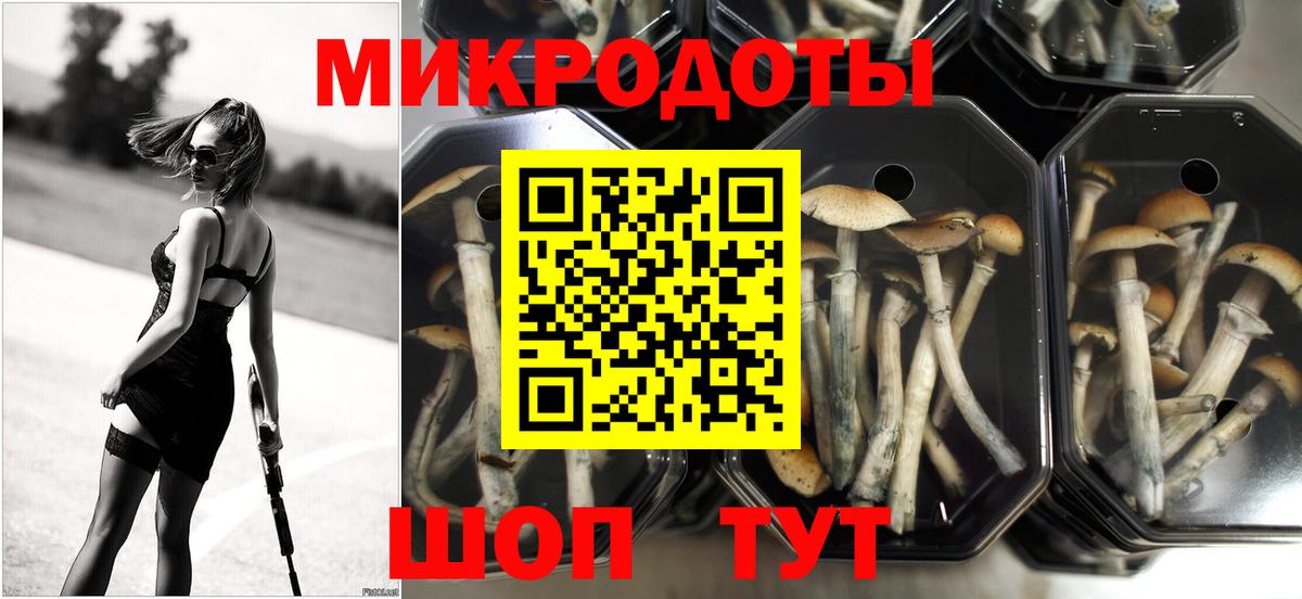 Ульяновск  Галлюциногенные грибы MAGIC MUSHROOMS  Вход с VPN  Галлюциногенные грибы Magic Shrooms 